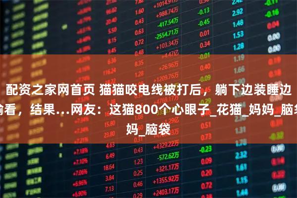 配资之家网首页 猫猫咬电线被打后，躺下边装睡边偷看，结果…网友：这猫800个心眼子_花猫_妈妈_脑袋