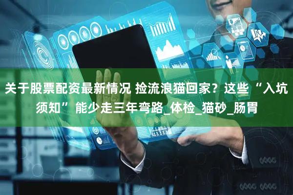 关于股票配资最新情况 捡流浪猫回家？这些 “入坑须知” 能少走三年弯路_体检_猫砂_肠胃