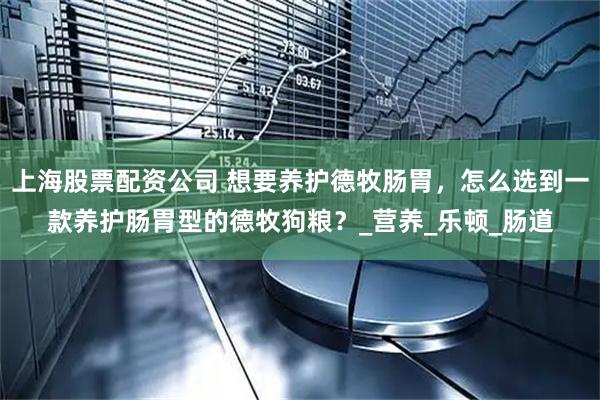 上海股票配资公司 想要养护德牧肠胃，怎么选到一款养护肠胃型的德牧狗粮？_营养_乐顿_肠道