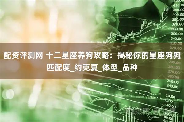 配资评测网 十二星座养狗攻略：揭秘你的星座狗狗匹配度_约克夏_体型_品种