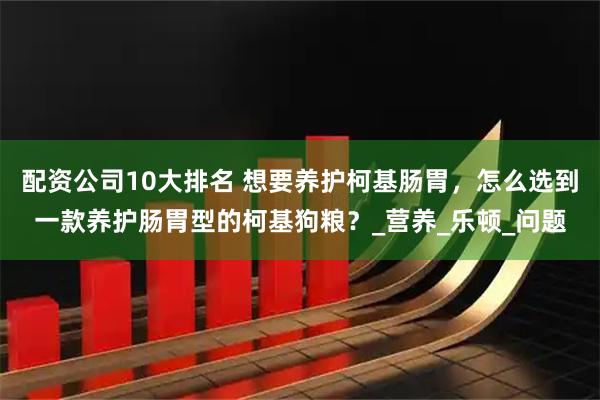 配资公司10大排名 想要养护柯基肠胃，怎么选到一款养护肠胃型的柯基狗粮？_营养_乐顿_问题