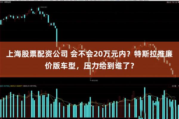 上海股票配资公司 会不会20万元内？特斯拉推廉价版车型，压力给到谁了？